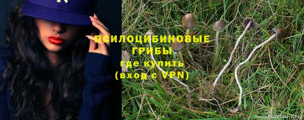 стаф Бронницы