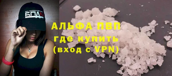 прущие грибы Верея