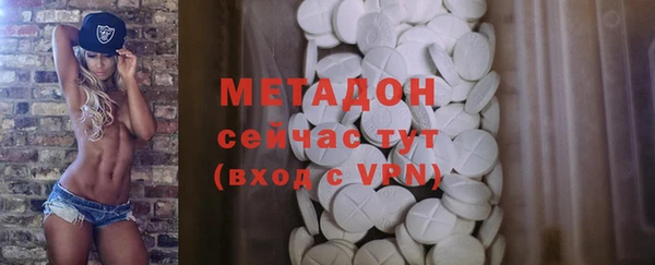 прущие грибы Верея
