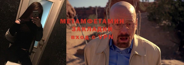 прущие грибы Верея