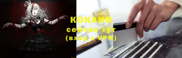 прущие грибы Верея