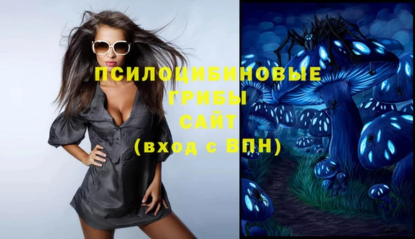 стаф Бронницы