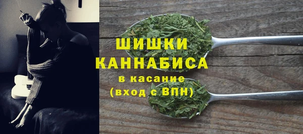стаф Бронницы